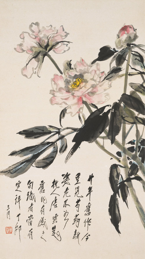 老药新姿