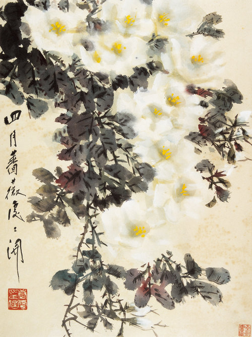 四月蔷薇