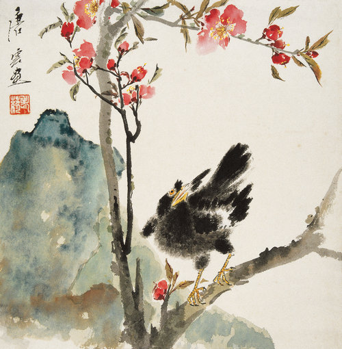桃花八哥