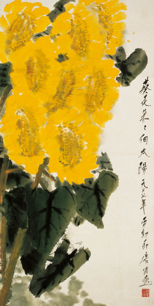 葵花朵朵向太阳 (1)