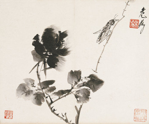 老药手笔册（之一）