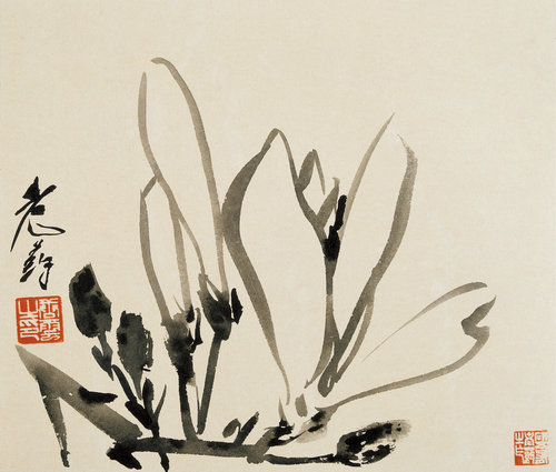 老药手册（之一五）