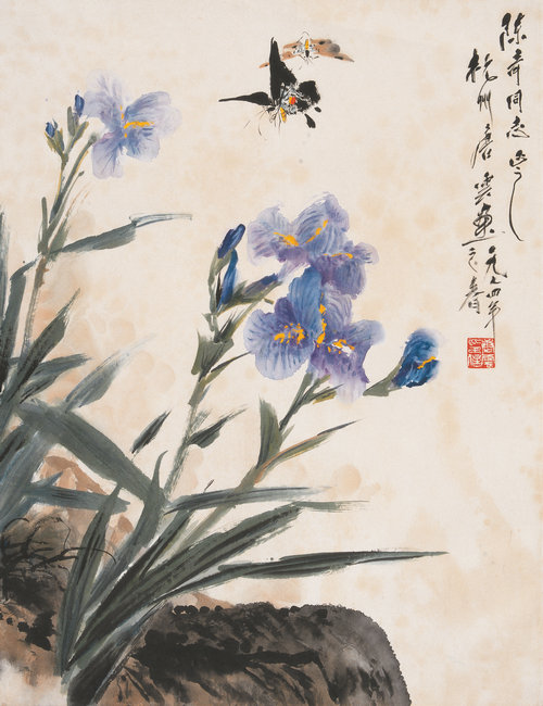 燕鸢双蝶