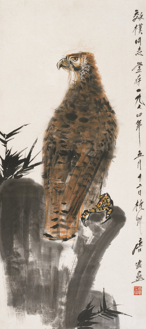 鹰