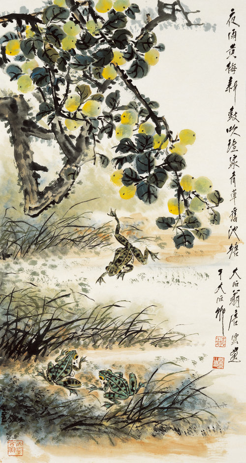 黄梅池蛙