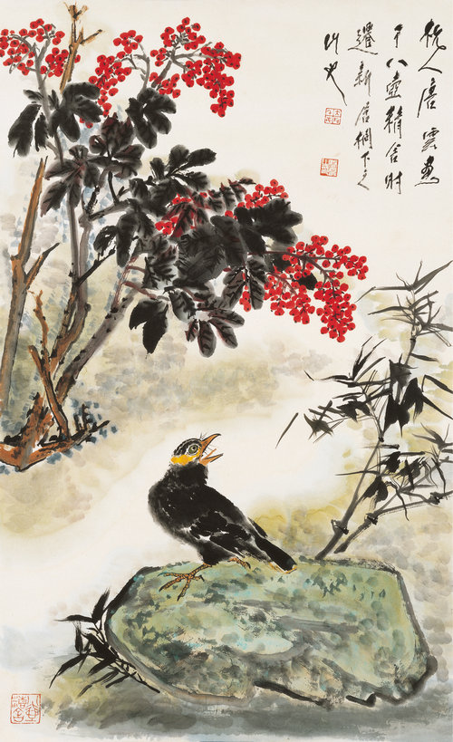 天竺八哥