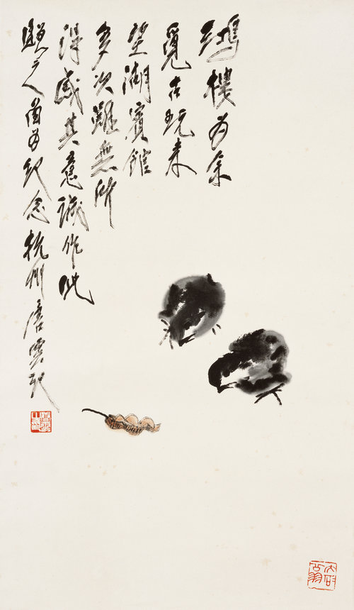小鸡