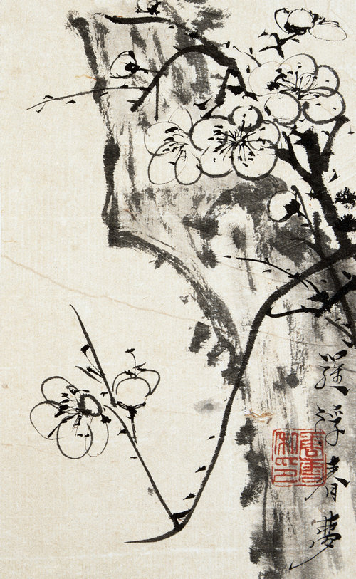 花鳥圖册（之九）