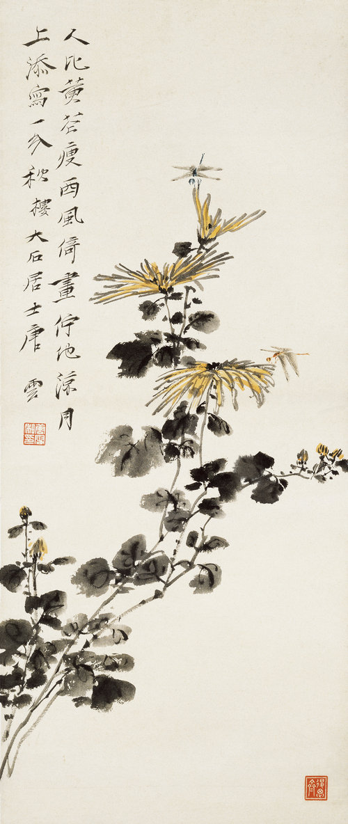 秋菊蜻蜓